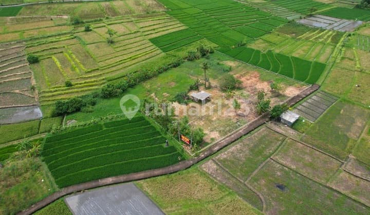 Tanah Jual Jalan Galiran Beraban Kediri Tabanan Bali