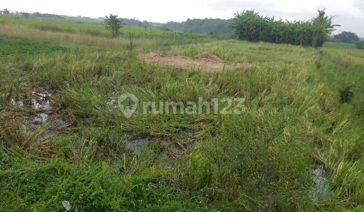 Dijual tanah lokasi kelating Kerambitan tabanan bali