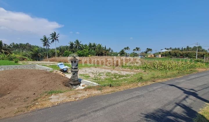 Dijual tanah los sungai lokasi pasut tibu biyu tabanan