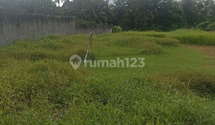 Dijual sewakan tanah lokasi petulu ubud gianyar bali