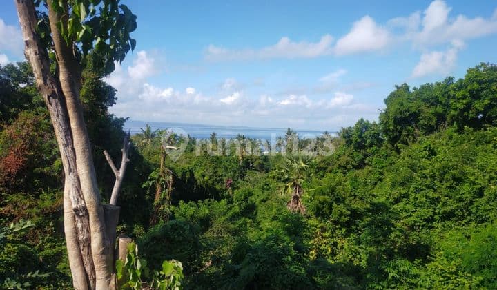Dijual tanah dekat pantai lokasi padang bai karangasem