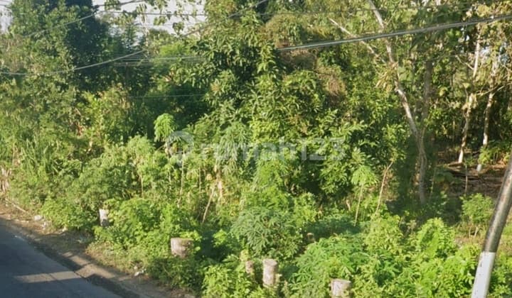 Disewakan Tanah Jalan Utama Lokasi Labuan Sait Pecatu