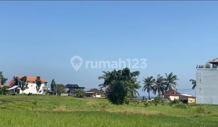 Dijual Tanah Langsung Pemilik Kedungu Belalang Tabanan Bali