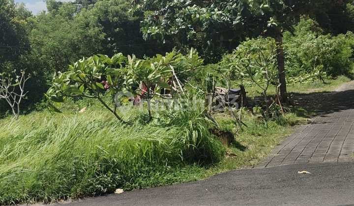 For Sale Land in Mundeh, Kutuh, South Kuta