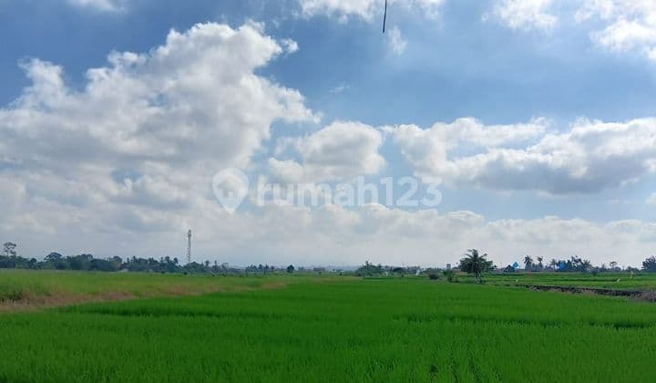 Dijual tanah lokasi kelating tabanan bali