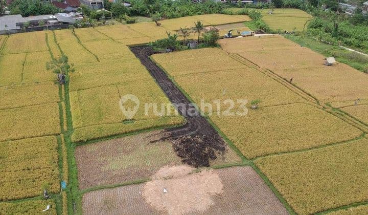 Dijual tanah lokasi tuka dalung kuta utara badung