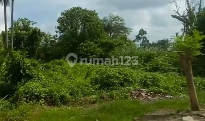 Disewakan Tanah Lokasi Lodtunduh Ubud Gianyar Bali