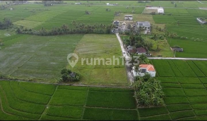 Dijual tanah view sawah lokasi nyanyi tabanan bali
