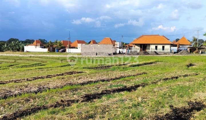 Dijual tanah view sawah lokasi cemagi mengwi badung