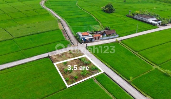 Dijual Tanah Lokasi Jalan Galiran Nyanyi Beraban