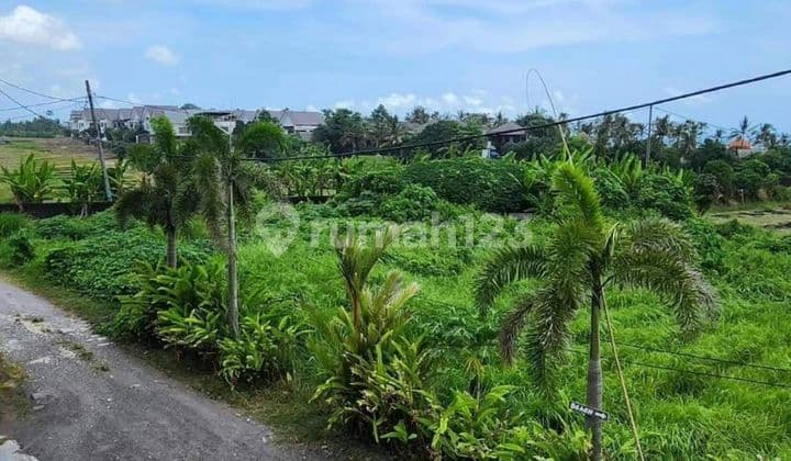 Dijual tanah lokasi cemagi mengwi badung view pantai