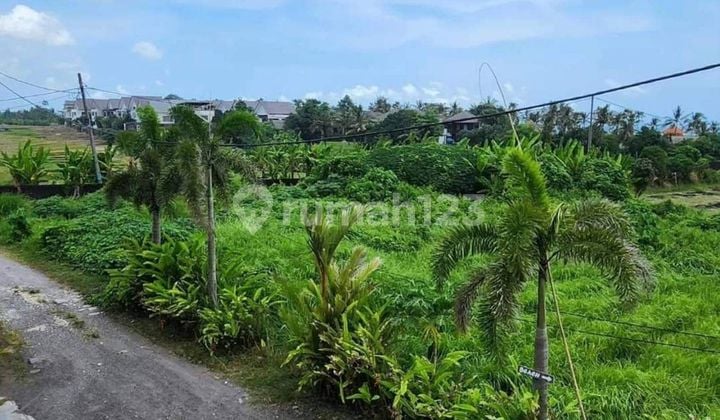 Land for sale in Cemagi Mengwi Badung location with beach view