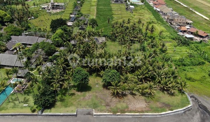 DiJual Tanah los pantai lokasi Pantai Cemagi