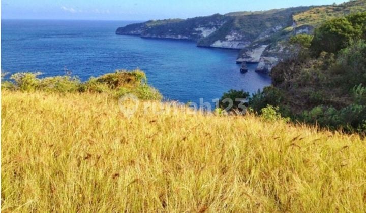 Land for sale in the cliffs of Pejukutan, Nusa Penida