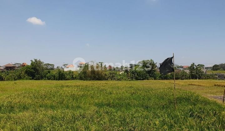 Land for sale near the beach in Seseh Munggu Badung