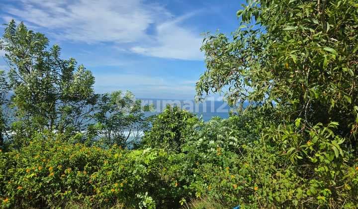 Land for Sale at Los Tebing Location, Kutuh, South Kuta