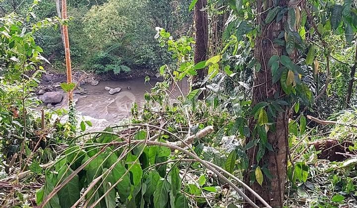 Dijual Tanah Los Sungai Ayung Lokasi Semana Mambal Abiansemal