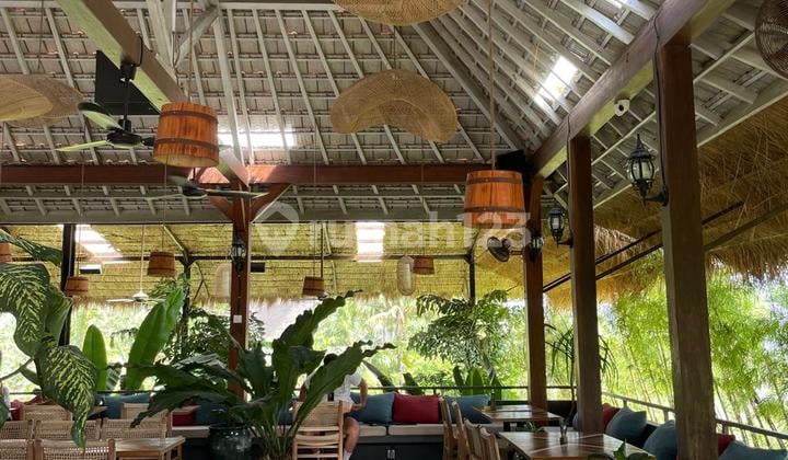 For Rent or Cooperation: Pererenan Location, 300 Meters to the Beach