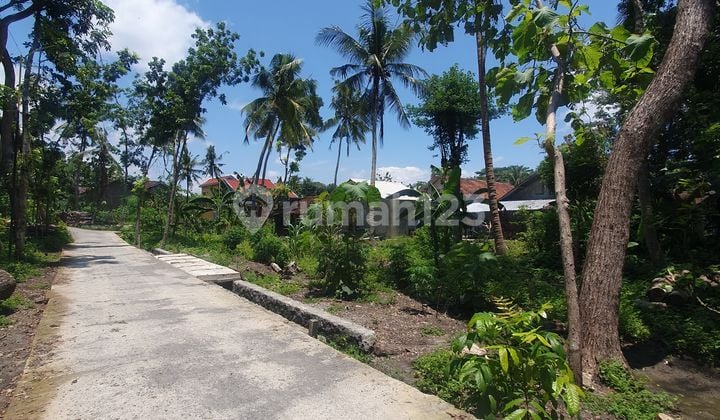 Tanah Strategis Untuk Kost dan Hunian Di Kota Wates