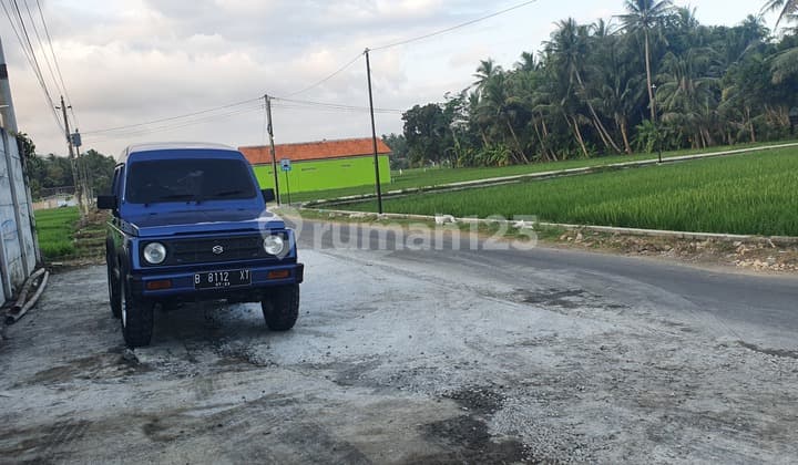 Tanah Sawah Tepi Jalan Aspal 705 m2 Temon, Kulon Progo