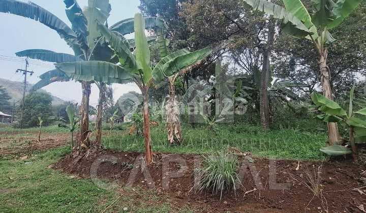Tanah Luas Siap Bangun Cocok Untuk Pergudangan Dan Pabrik Mainroad Padalarang Bandung Barat