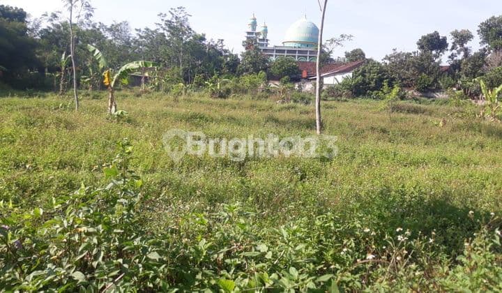 Land Ready to Build in BSB Mijen Semarang