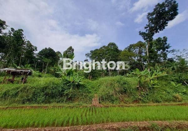 TANAH INVESTASI HARGA DI BAWAH NJOP DI WONOPLUMBON DEKAT BSB,NGALIYAN MIJEN