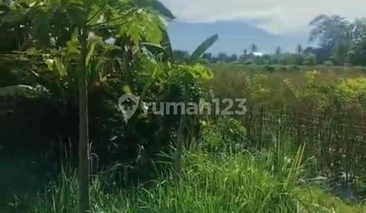 On Sale Tanah Lokasi Strategis Jembrana Kaliakah