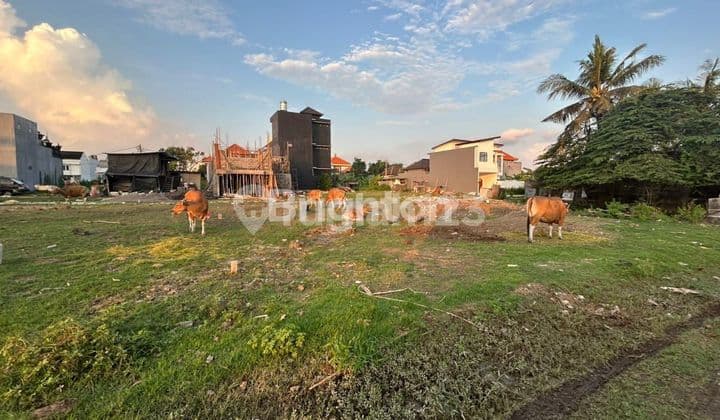DISEWAKAN JANGKA PANJANG TANAH DI MUNGGU
