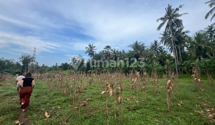 On Sale Tanah Lokasi Strategis Pekutatan Jembrana