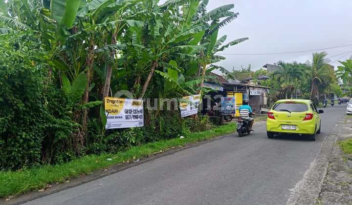Tanah Exclusive Pinggir Jalan Bongan Tabanan
