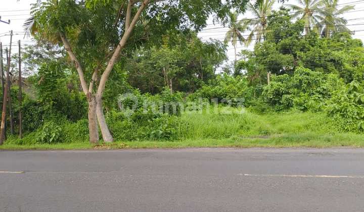 On Sale Tanah Pekutatan High Investment Jembrana