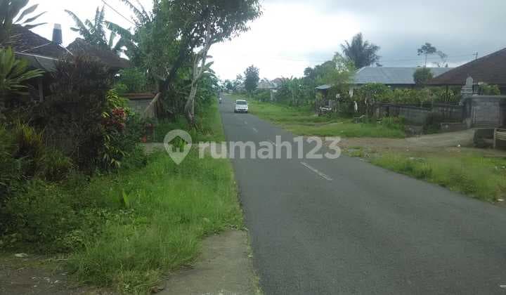 Land Next Close to North Bali Airport Buleleng