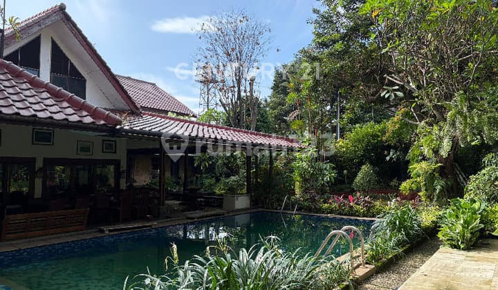 Rumah Coumpound 3 Rumah Luas 1295 M2 di Cipete Jakarta Selatan