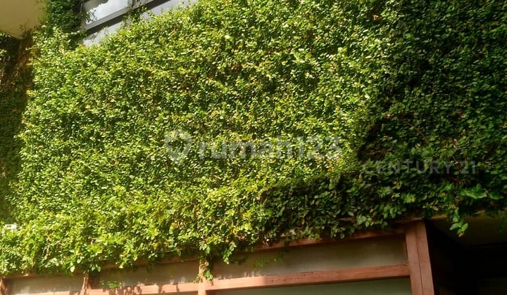 Rumah Kantor Selangkah Ke Sudirman Dan MRT