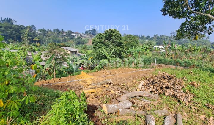 Tanah Strategis Dekat Wisata Cimory Di Jl Sirnarasa Cisarua Bogor