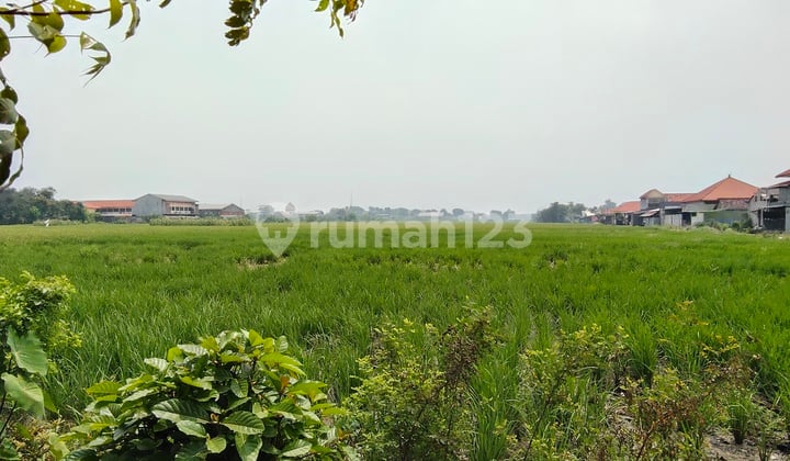 Dijual Tanah Di Katerungan Krian Sidoarjo