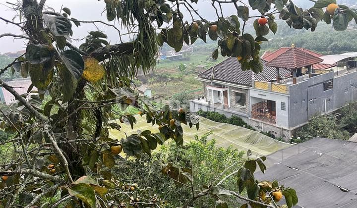 Dijual Tanah Di Kota Batu Cuban Talun