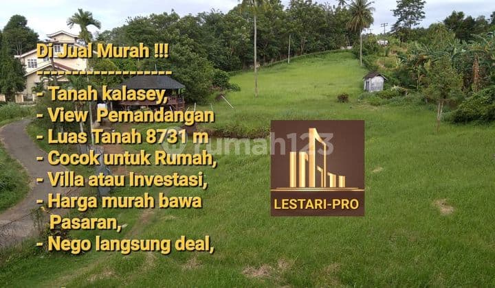 For Sale Fast and Cheap, Kalasey Land area 8731 m, Affordable Price Below Market