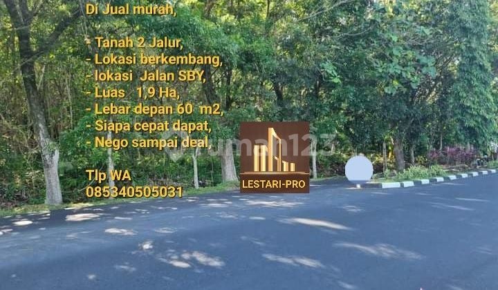 Di Jual Cepat Dan Murah, Tanah Jalan Sby, Luas Tanah 1,9 Ha, Siapa Cepat Dapat