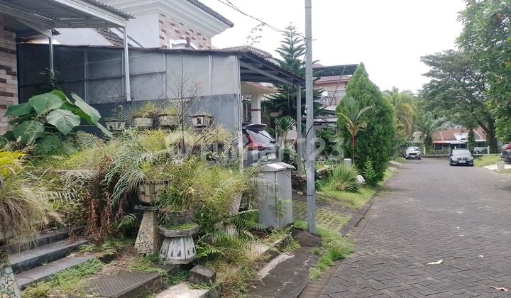 Disewakan Murah Hunian Cantik Ekslusif Citraland Siapa Cepat Dapat