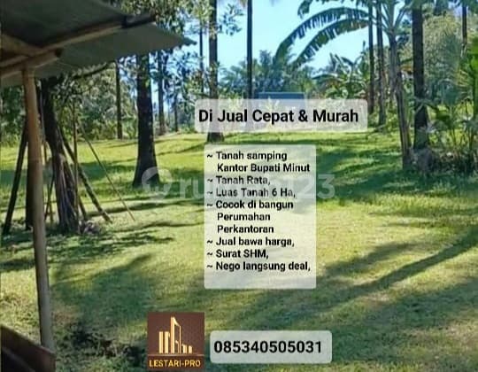 Tanah Samping Kantor Bupati Minut Luas 6 Ha Cocok Untuk Perumahan