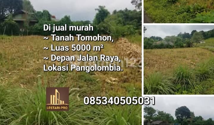 Affordable Land for Sale in Tomohon Pangolombian, Area 5000, Strategic Location