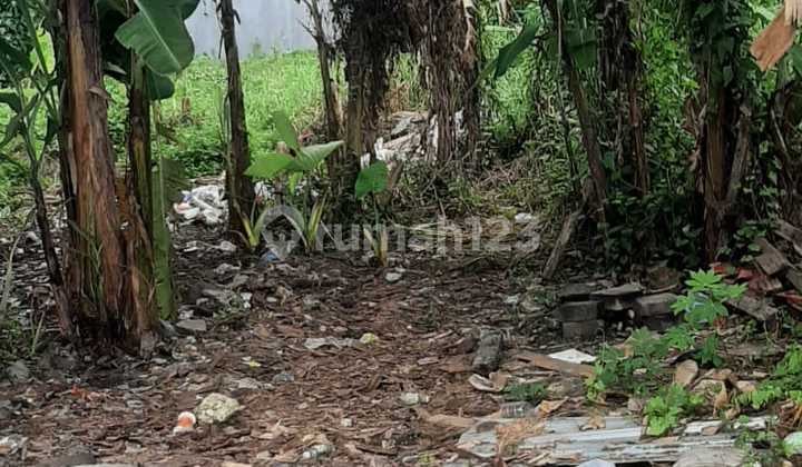 Tanah Murah !! Lokasi Cekomaria Denpasar Utara