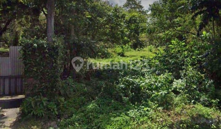 Di Jual Lahan Tanah di Bongan tabanan bali, Bongan 445 Squaremeter SHM - Sertifikat Hak Milik