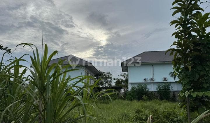 Dikontrakkan Tanah 3 Sampai 8 Are Lokasi di Jalan Sedap Malam Denpasar