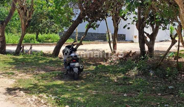 Sebidang Tanah Murah Lokasi Gang Kunyit Pecatu