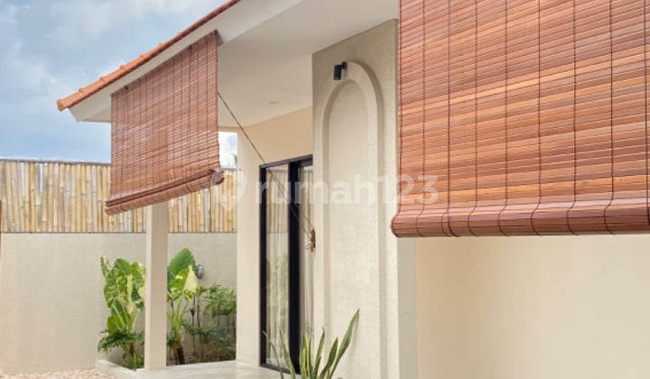 Rent Villa Canggu Berawa Near Fins Beach Club Bali New Furnished SHM Rental - Freehold Certificate on Jl Berawa Canggu near Fins Beach Club, Canggu