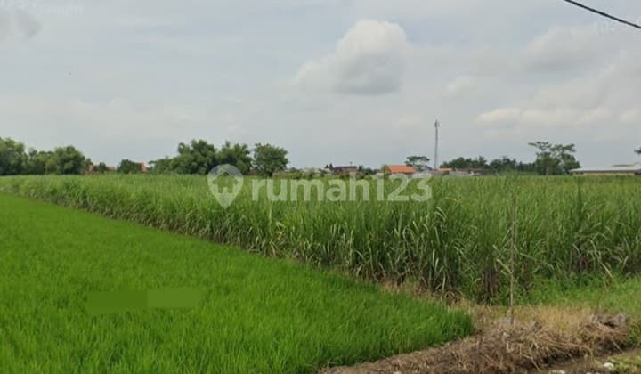 0414.52(C) Tanah Lelang Sooko Mojokerto Raya Karang Kedawang