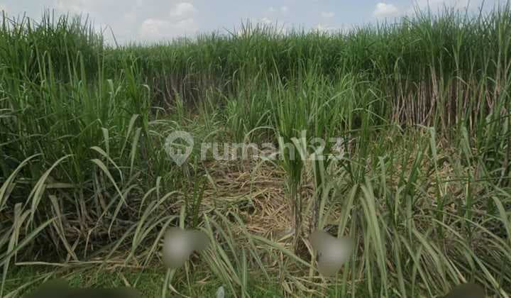 Jual Tanah Mojokerto di Jetis di Raya Sidorejo